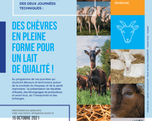 26 et 28 octobre 2021 : Des chèvres en pleine forme pour un lait de qualité !