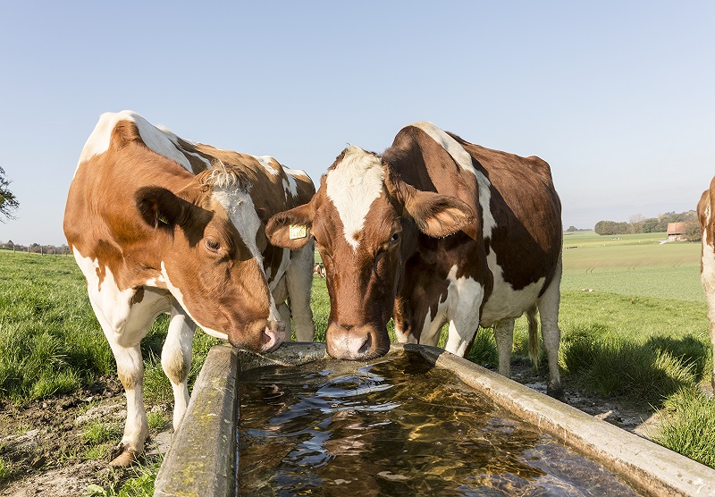 Appui Régional : Optimiser l’usage de l’eau en élevage 2022