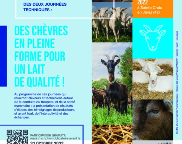 10 et 24 novembre 2022 : Des chèvres en pleine forme pour un lait de qualité !