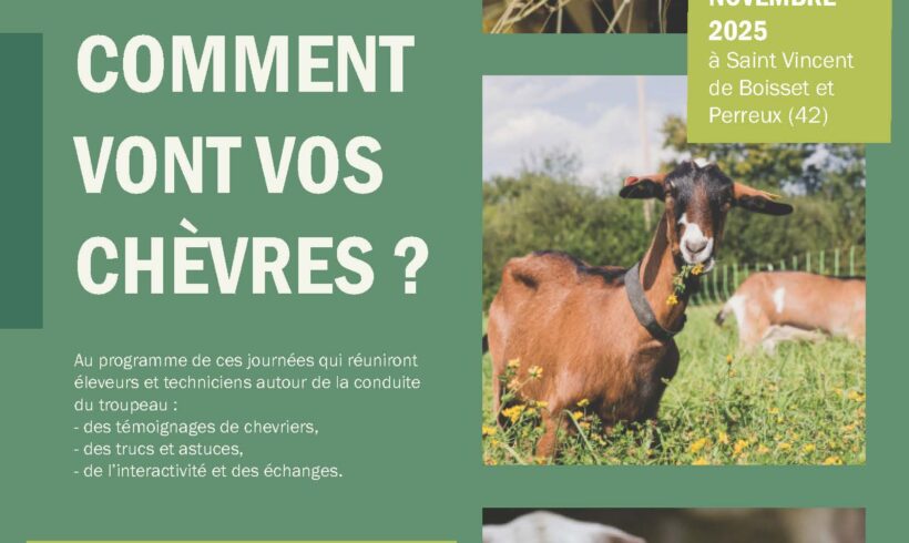 3 et 6 novembre 2025 : Journées techniques “Comment vont vos chèvres ?”